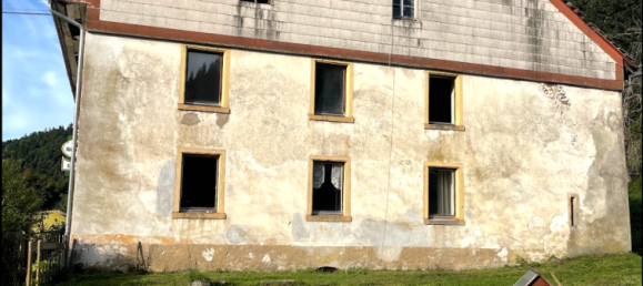 12 rooms Farm in Waldshut, Germany No. 356568 2