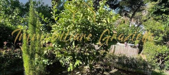 8-Zimmer Doppelhaus in Bordighera, Italy, Nr. 197592 45