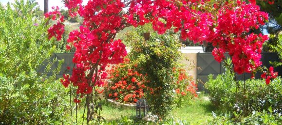 5 bedrooms Commercial property in Kranidi, Greece No. 7483 4