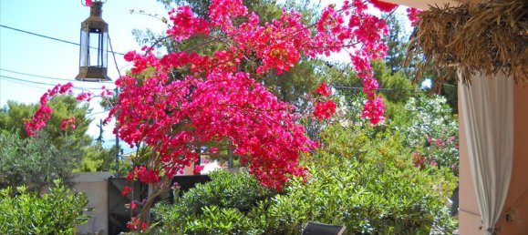 5 bedrooms Commercial property in Kranidi, Greece No. 7483 5