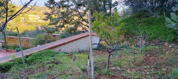 3 rooms Villa in Altavilla Milicia, Italy No. 147757 13