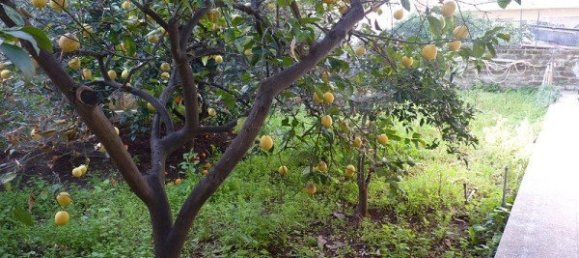 3 bedrooms House in Syracuse, Italy No. 244800 18