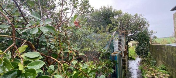 3 bedrooms House in Ponta Delgada, Portugal No. 45368 2