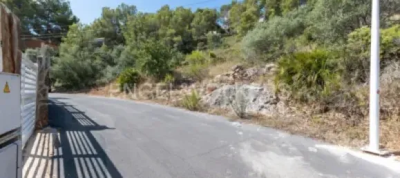 Terrain à Castellon, Spain No. 177702 17