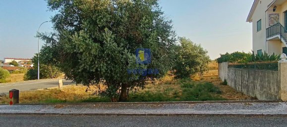 396m² Land in Alcanena, Portugal No. 285928 13