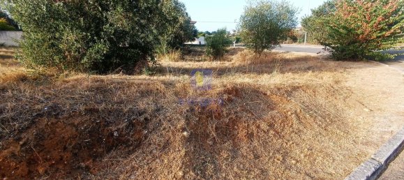 396m² Land in Alcanena, Portugal No. 285928 4