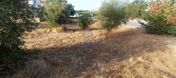 396m² Land in Alcanena, Portugal No. 285928 6