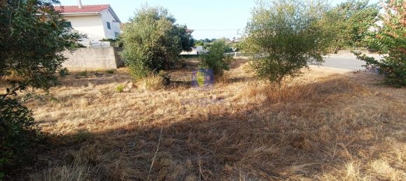 396m² Land in Alcanena, Portugal No. 285928 5