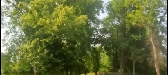 18 rooms House in Thuret, France No. 189842 4