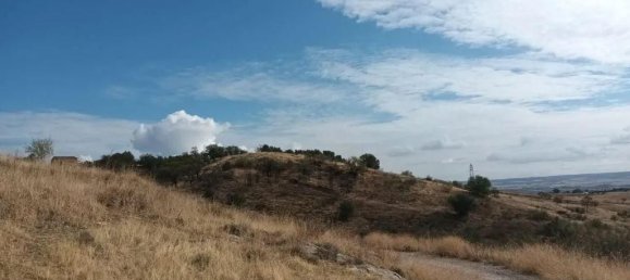 11237m² Land in El Molar, Spain No. 80209 5