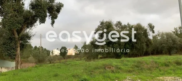 Terreno en Condeixa a Nova, Portugal No. 87888 2