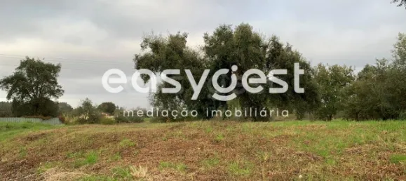 Terreno en Condeixa a Nova, Portugal No. 87888 4