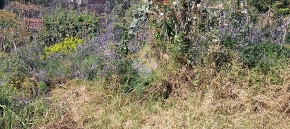 Terreno em San Giovanni la Punta, Italy 2050 m² N.º 300050 43