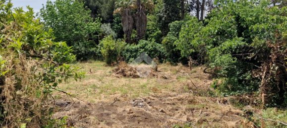 Terreno em San Giovanni la Punta, Italy 2050 m² N.º 300050 10