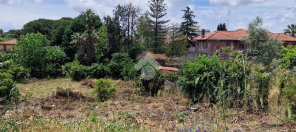 Terreno em San Giovanni la Punta, Italy 2050 m² N.º 300050 14