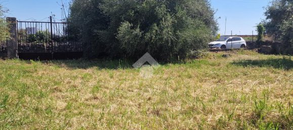 Terreno em San Giovanni la Punta, Italy 2050 m² N.º 300050 25