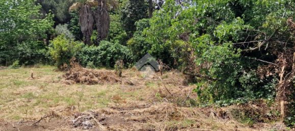 Terreno em San Giovanni la Punta, Italy 2050 m² N.º 300050 11