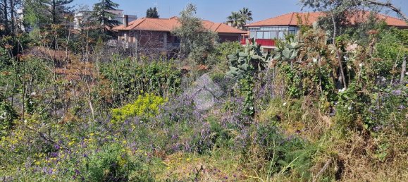 Terreno em San Giovanni la Punta, Italy 2050 m² N.º 300050 36