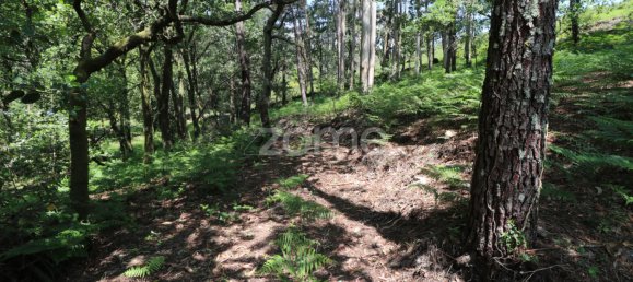 Земельный участок 4980м² в Аркуш ди Валдевеш, Португалия № 57794 9