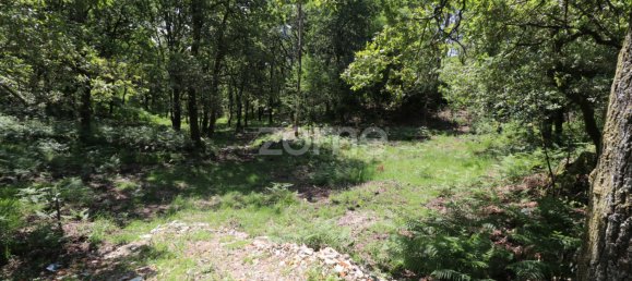 Земельный участок 4980м² в Аркуш ди Валдевеш, Португалия № 57794 3