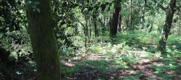 Земельный участок 4980м² в Аркуш ди Валдевеш, Португалия № 57794 10