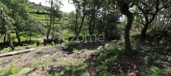 Земельный участок 4980м² в Аркуш ди Валдевеш, Португалия № 57794 6