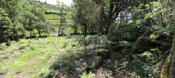 Земельный участок 4980м² в Аркуш ди Валдевеш, Португалия № 57794 5