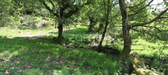 Земельный участок 4980м² в Аркуш ди Валдевеш, Португалия № 57794 7