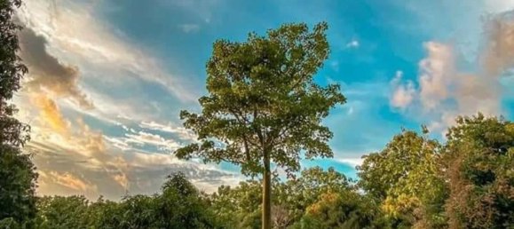 Terrain à Garabito, Costa Rica No. 1571 4