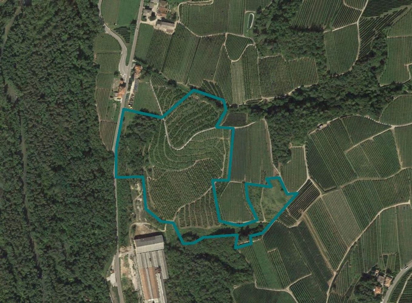 Земельный участок 62090м² в Тон, Италия № 283109