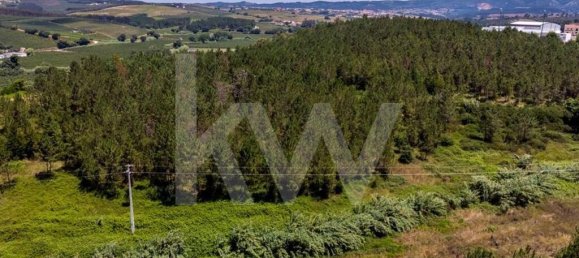 9 غرف نوم منزل في Cadaval, Portugal رقم 67672 41