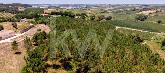 9 غرف نوم منزل في Cadaval, Portugal رقم 67672 40