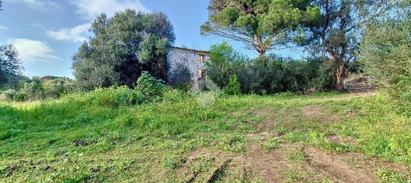 Studio in Arzachena, Italy No. 152693 14
