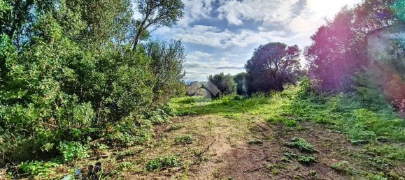 Studio in Arzachena, Italy No. 152693 15