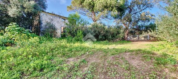 Studio in Arzachena, Italy No. 152693 12