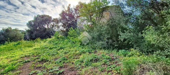 Studio in Arzachena, Italy No. 152693 16