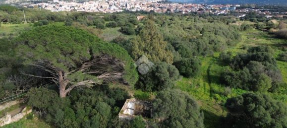 Studio in Arzachena, Italy No. 152693 4