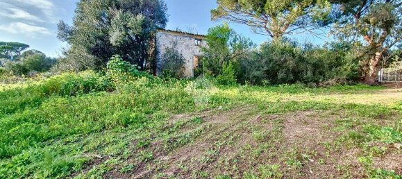 Studio in Arzachena, Italy No. 152693 13