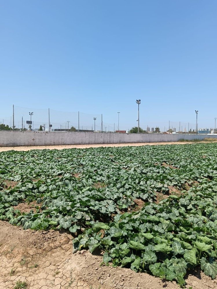 3 bedrooms House in Valencia, Spain No. 156432