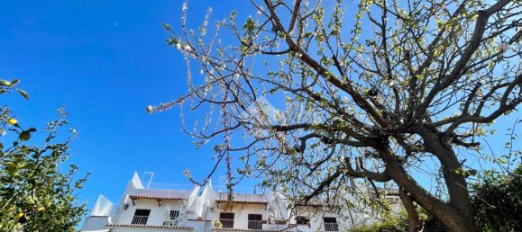 4 rooms House in Lacco Ameno, Italy No. 125315 4