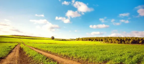 2 bedrooms House in Chanceaux-sur-Choisille, France No. 344084 3