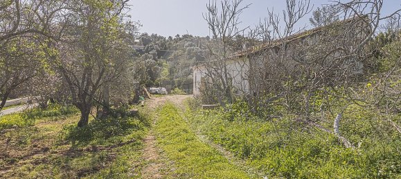 2 Schlafzimmer Haus in Tavira, Portugal, Nr. 23570 10