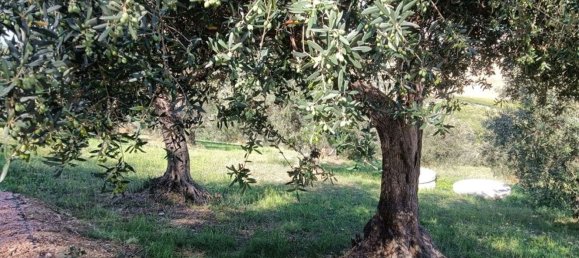 4 غرف نوم فيلا في Città Sant'Angelo, Italy رقم 397701 13