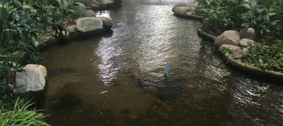 Кондоминиум  с 3 спальнями в Lumpini Park Beach Jomtien, Паттайя, Таиланд № 32736 18