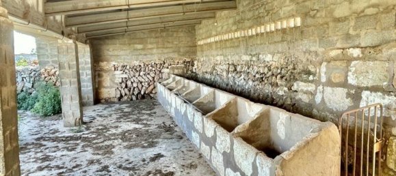 4 bedrooms House in Menorca, Spain No. 83212 26