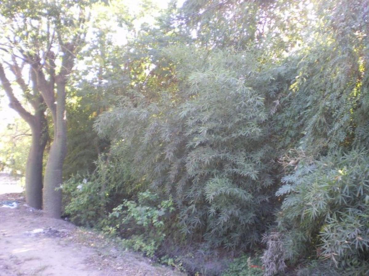 Grundstück in Pilar, Argentina, Nr. 36027