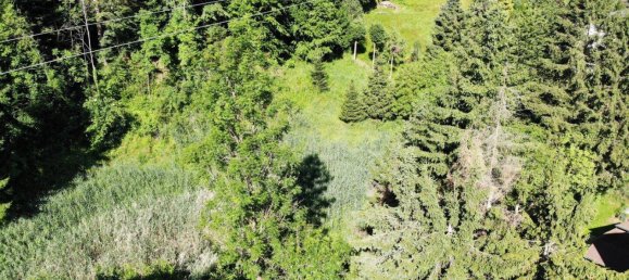  قطعة أرض في Pernegg an der Mur, Austria رقم 151497 5