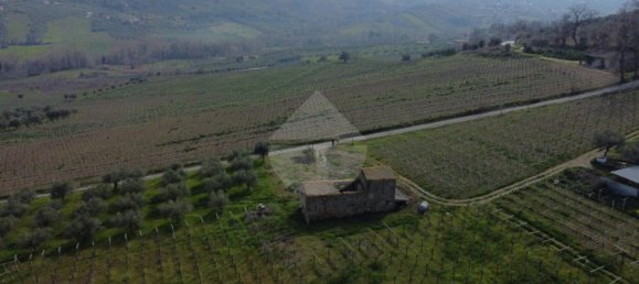 6 rooms House in Frisa, Italy No. 60377 3