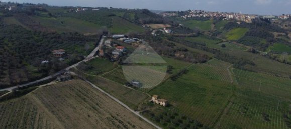 6 rooms House in Frisa, Italy No. 60377 10