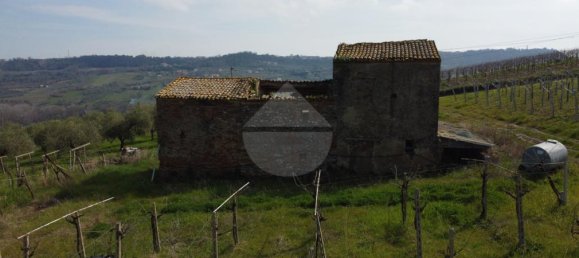 6 rooms House in Frisa, Italy No. 60377 15